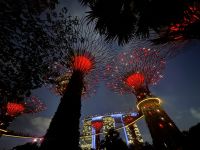 Lichhtshow bei den Supertrees (4) &ndash; &copy; Thomas Krupp (Eberhardt TRAVEL)