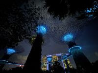 Lichhtshow bei den Supertrees (5) &ndash; &copy; Thomas Krupp (Eberhardt TRAVEL)
