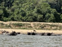 Mutiara Taman Negara NP (6) &ndash; &copy; Thomas Krupp (Eberhardt TRAVEL)