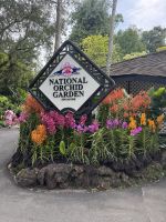 Orchideen Garten in Singapur &ndash; &copy; Thomas Krupp (Eberhardt TRAVEL)