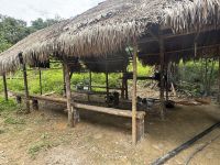 ...bei den Oran Asli Ureinwohnern (2) &ndash; &copy; Thomas Krupp (Eberhardt TRAVEL)