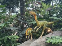 ...im Cloud Forest (4) &ndash; &copy; Thomas Krupp (Eberhardt TRAVEL)