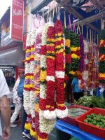 Little India - die Blumenzöpfe am Markt - Singapur &ndash; &copy; Marieta Beck (Eberhardt TRAVEL)
