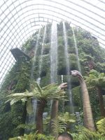 Cloud Forest mit Dynosarien Ausstellung - Singapur &ndash; &copy; Marieta Beck (Eberhardt TRAVEL)