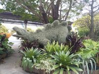 Cloud Forest mit Dynosarien Ausstellung - Singapur &ndash; &copy; Marieta Beck (Eberhardt TRAVEL)