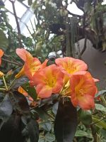 Cloud Forest in Gardens by The Bay -  Singapur &ndash; &copy; Marieta Beck (Eberhardt TRAVEL)
