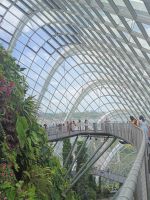 Cloud Forest - imposante Architektur und Stege - Singapur &ndash; &copy; Marieta Beck (Eberhardt TRAVEL)