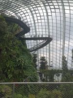 Cloud Forest - imposante Architektur von unten  - Singapur &ndash; &copy; Marieta Beck (Eberhardt TRAVEL)