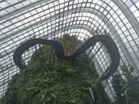 Cloud Forest - imposante Architektur von unten  - Singapur &ndash; &copy; Marieta Beck (Eberhardt TRAVEL)