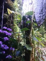Cloud Forest  in grün und lila  - Singapur &ndash; &copy; Marieta Beck (Eberhardt TRAVEL)