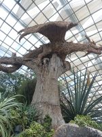 Flower Dome - Baumkreation - Singapur &ndash; &copy; Marieta Beck (Eberhardt TRAVEL)