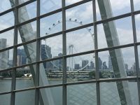 Blick auf Singapore Flyer von Flower Dom &ndash; &copy; Marieta Beck (Eberhardt TRAVEL)