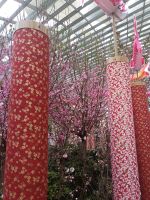 Die Japan Ausstellung in Flower Dom - Singapur &ndash; &copy; Marieta Beck (Eberhardt TRAVEL)
