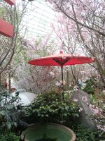 Die Japan Ausstellung in Flower Dom - Singapur &ndash; &copy; Marieta Beck (Eberhardt TRAVEL)