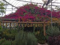 Butterflygarden -  Brinchang - Malaysia &ndash; &copy; Marieta Beck (Eberhardt TRAVEL)