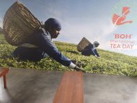 BOH Tea Day - die Teepflücker - Malaysia &ndash; &copy; Marieta Beck (Eberhardt TRAVEL)