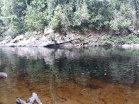 Klares Wasser  - Taman Negara - Malaysia &ndash; &copy; Marieta Beck (Eberhardt TRAVEL)
