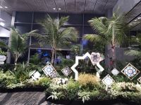 Noch ein Spazierhang am Terminal 3 Changi Airport Singapur &ndash; &copy; Marieta Beck (Eberhardt TRAVEL)