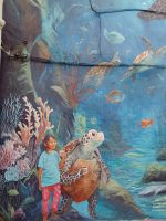 Wandmalereien - Georgetown - Malaysia  &ndash; &copy; Marieta Beck (Eberhardt TRAVEL)