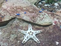 Singapore Oceanarium  &ndash; &copy; Marieta Beck (Eberhardt TRAVEL)