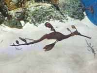 Singapore Oceanarium &ndash; &copy; Marieta Beck (Eberhardt TRAVEL)
