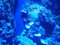 Singapore Oceanarium &ndash; &copy; Marieta Beck (Eberhardt TRAVEL)