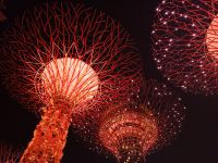 Supertrees - Die Raphsody Lichtshow - Gardens by the Bay - Singapur &ndash; &copy; Marieta Beck (Eberhardt TRAVEL)