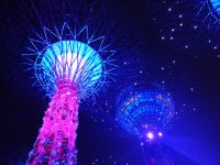 Supertrees - Die Raphsody Lichtshow - Gardens by the Bay - Singapur &ndash; &copy; Marieta Beck (Eberhardt TRAVEL)