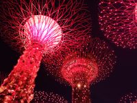 Supertrees - Die Raphsody Lichtshow - Gardens by the Bay - Singapur &ndash; &copy; Marieta Beck (Eberhardt TRAVEL)