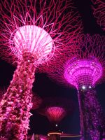 Supertrees - Gardens by the Bay - Singapur &ndash; &copy; Marieta Beck (Eberhardt TRAVEL)