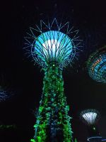 Supertrees - Die Raphsody Lichtshow - Gardens by the Bay - Singapur &ndash; &copy; Marieta Beck (Eberhardt TRAVEL)