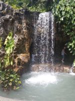 Ein Wasserfall - alle wollten hier ein Foto - Orchid Garden - Singapur  &ndash; &copy; Marieta Beck (Eberhardt TRAVEL)