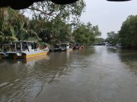 Durch den Mangroven Wald auf den Boot  - Malaysia &ndash; &copy; Marieta Beck (Eberhardt TRAVEL)