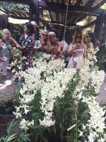 Alle wollen hier ein Foto haben - Im Pavillon in Orchid Garden - Singapur  &ndash; &copy; Marieta Beck (Eberhardt TRAVEL)