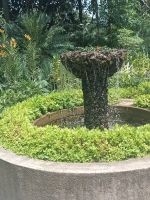 Orchid Garden - Singapur  &ndash; &copy; Marieta Beck (Eberhardt TRAVEL)