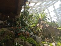 Tolle Landschaftskreationen im Pavillon in Orchid Garden - Singapur  &ndash; &copy; Marieta Beck (Eberhardt TRAVEL)