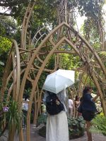 Besuchergruppen in weiß - Orchid Garden - Singapur  &ndash; &copy; Marieta Beck (Eberhardt TRAVEL)