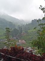In Nebel verhüllt - Landschaften um Tea Boh - Malaysia &ndash; &copy; Marieta Beck (Eberhardt TRAVEL)