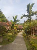 Der Weg zu den Bungallow - Mutiara Taman Negara - Malaysia &ndash; &copy; Marieta Beck (Eberhardt TRAVEL)