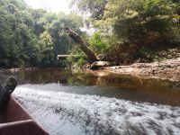 Natur pur und Stille -  Taman Negara - Malaysia &ndash; &copy; Marieta Beck (Eberhardt TRAVEL)