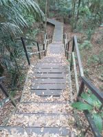 Die Stege zu Teresek Hill - Taman Negara - Malaysia &ndash; &copy; Marieta Beck (Eberhardt TRAVEL)