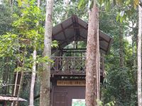 Canopy Walk - aktuell nicht begehbar - Taman Negara - Malaysia &ndash; &copy; Marieta Beck (Eberhardt TRAVEL)