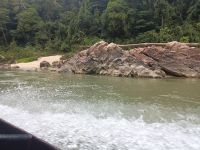 Fluß Sungai Tembeling - Taman Negara - Malaysia  &ndash; &copy; Marieta Beck (Eberhardt TRAVEL)