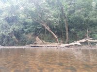 Unberührte Natur und flaches Wasser im Sungai Tembeling - Taman Negara - Malaysia &ndash; &copy; Marieta Beck (Eberhardt TRAVEL)