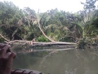 Start Penang River Cruise auf dem Fluss Sungai Juru - Malaysia &ndash; &copy; Marieta Beck (Eberhardt TRAVEL)