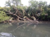 Natur sich selbst überlassen - Sungai Juru - Penang , Malaysia  &ndash; &copy; Marieta Beck (Eberhardt TRAVEL)
