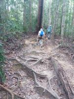 Wanderung zu den Kaskaden des Flußess - Taman Negara - Malaysia  &ndash; &copy; Marieta Beck (Eberhardt TRAVEL)