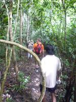 Taman_Negara_Dschungelwanderung_P1050042