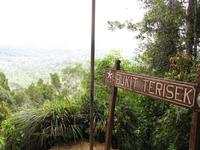 Taman_Negara_Dschungelwanderung_IMG_0145