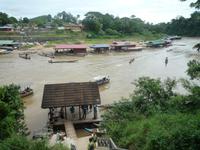 Taman_Negara_Dschungelbootsfahrt_P1050071
